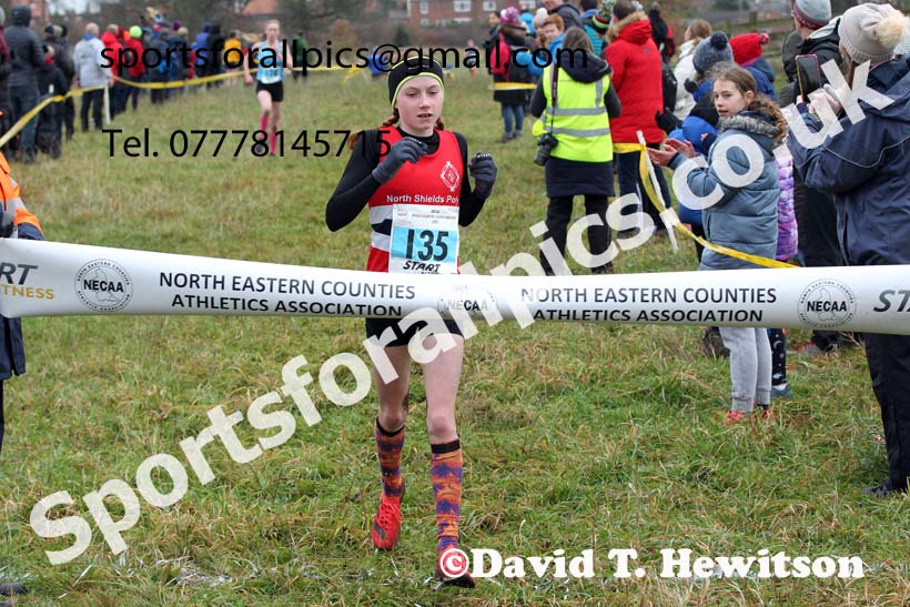 Girls under-13s, 2021 North Eastern Cross Country Championships, Sedgefield. Photo: David T. Hewitson/Sports for All Pics
